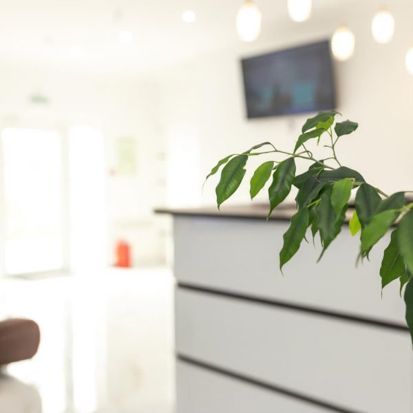 Cómo influyen las plantas en una clínica dental